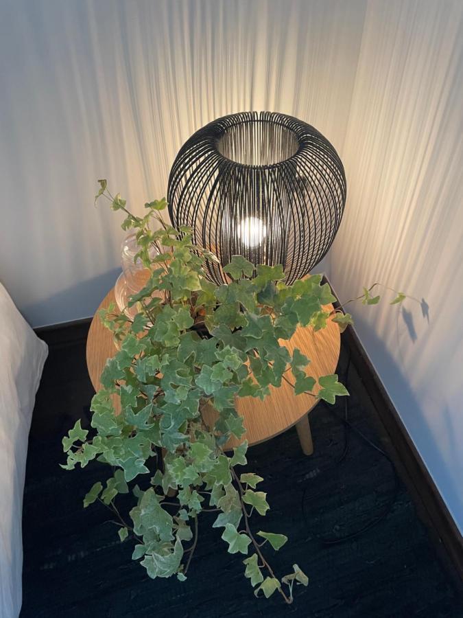 Le Jardin Wilson Lejlighed Dijon Eksteriør billede